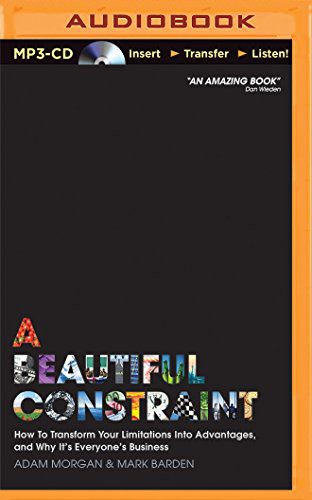 A Beautiful Constraint book cover