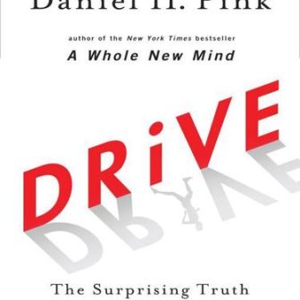 Drive book cover